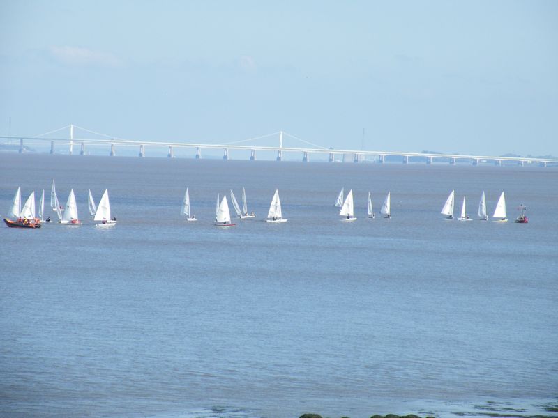 Portishead Laser open 2011